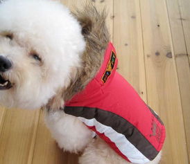 美琪妃寵Feipet 2012秋冬寵物服裝新品解析 價格、廠家與大白寵物風尚