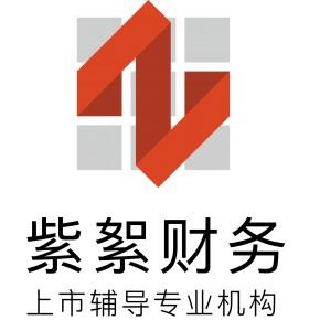 上海財(cái)務(wù)咨詢公司