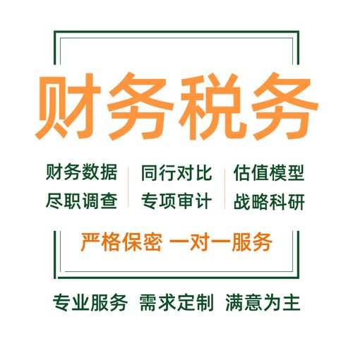 財(cái)務(wù)報(bào)表分析可行性研究報(bào)告審計(jì)稅務(wù)咨詢代寫商業(yè)計(jì)劃書年度述職