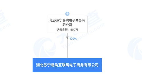 蘇寧易購(gòu)在武漢成立電商公司,注冊(cè)資本500萬(wàn)元